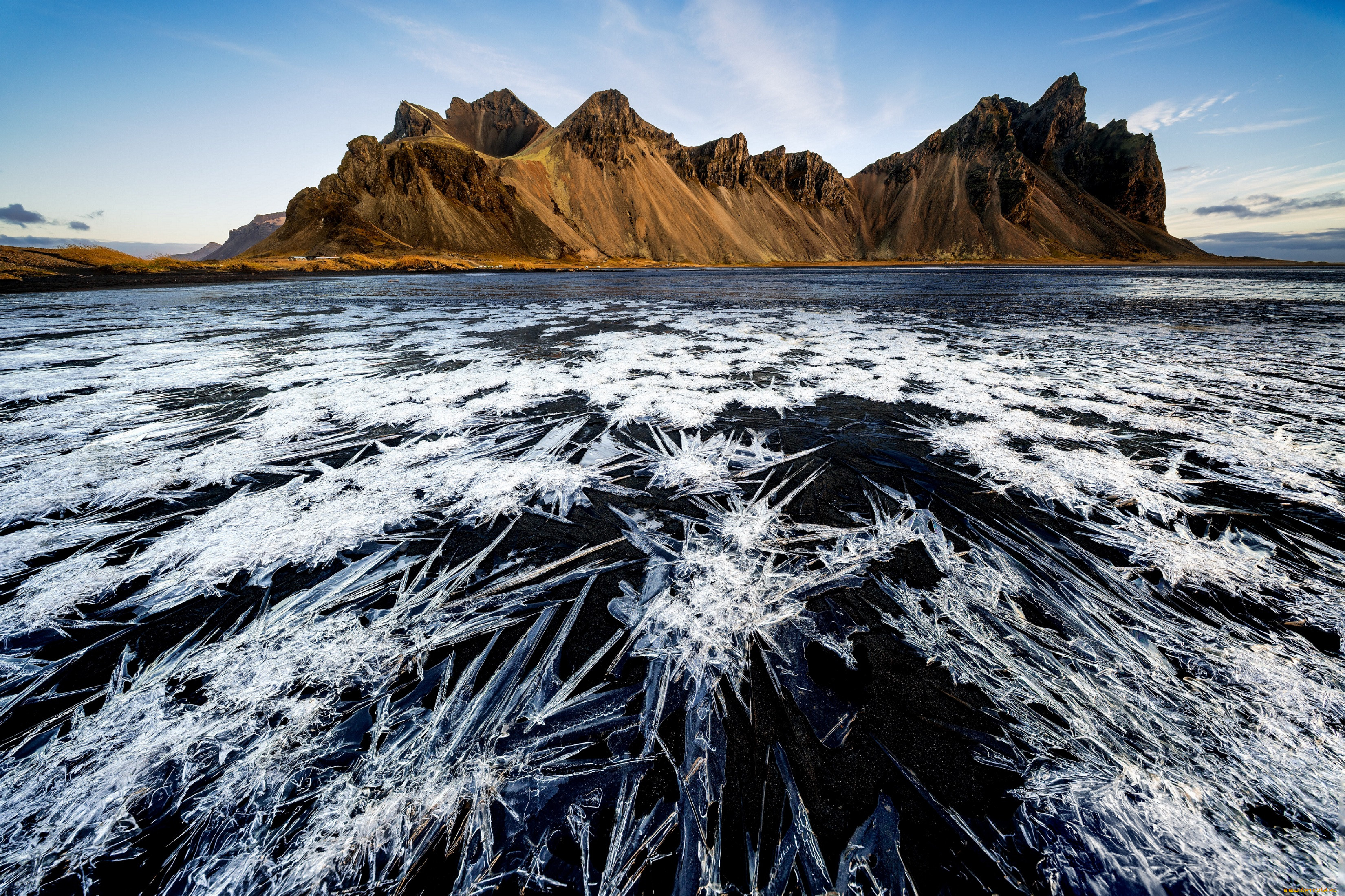 �������, ����, �����, ������